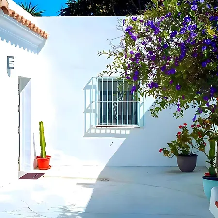 Apartment Con Piscina Privada Y Terraza En Conil - Es-180-203